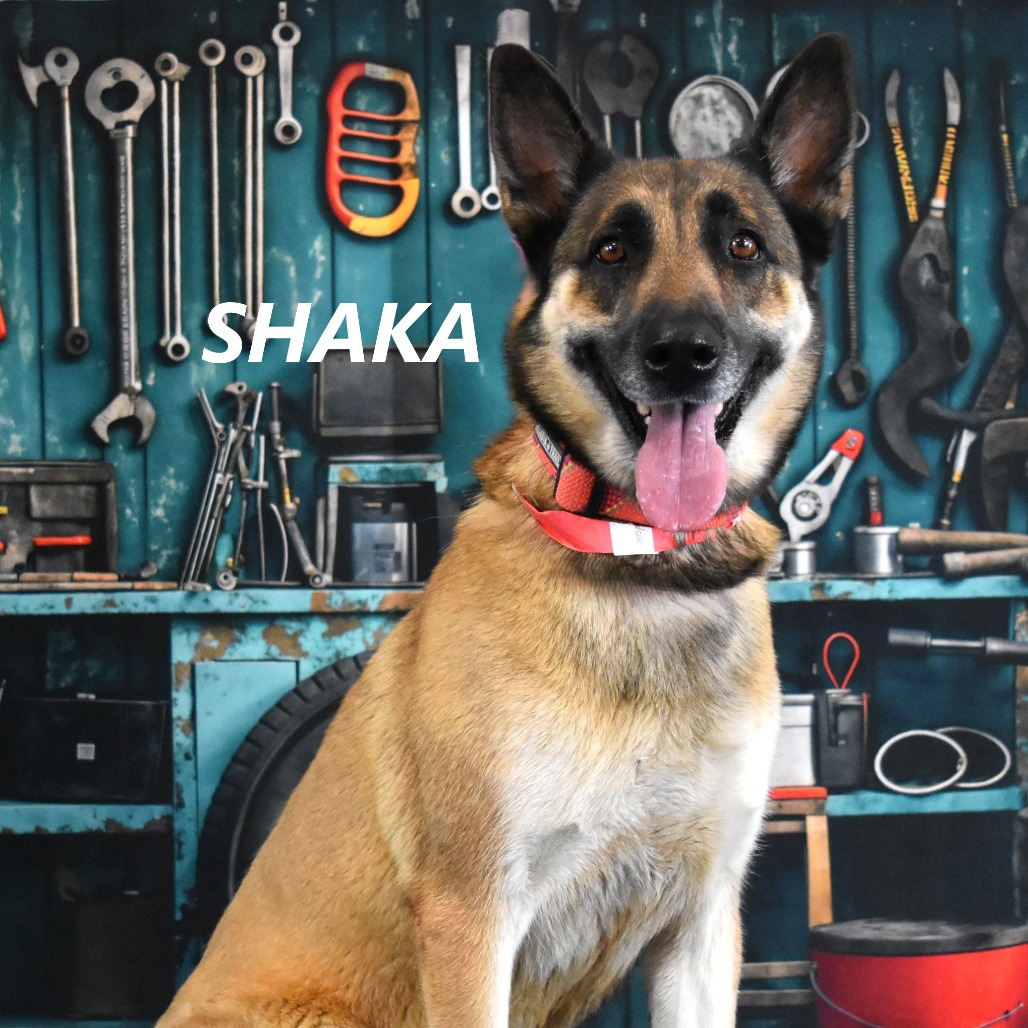 Shaka