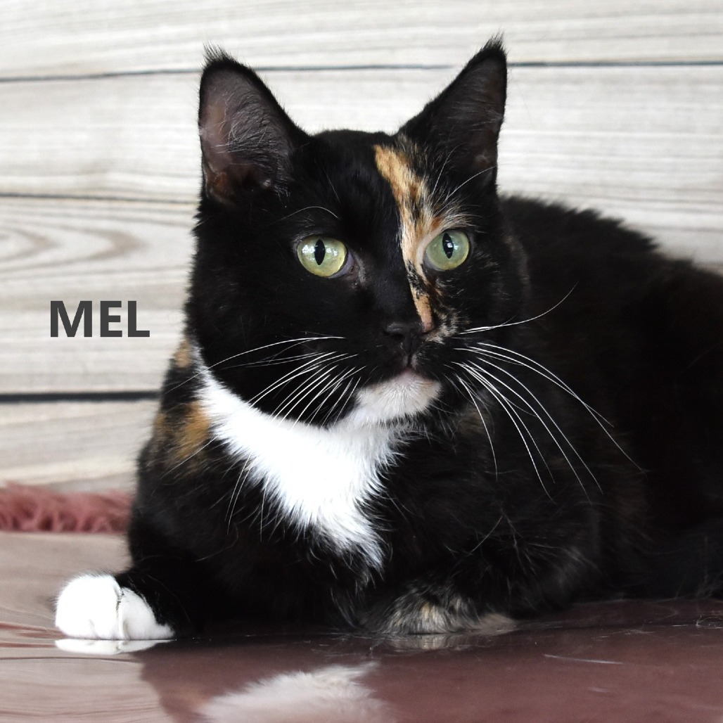 Mel