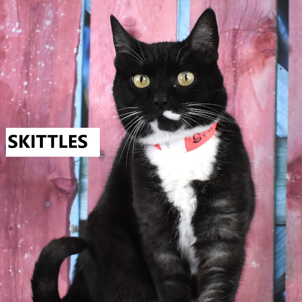Skittles