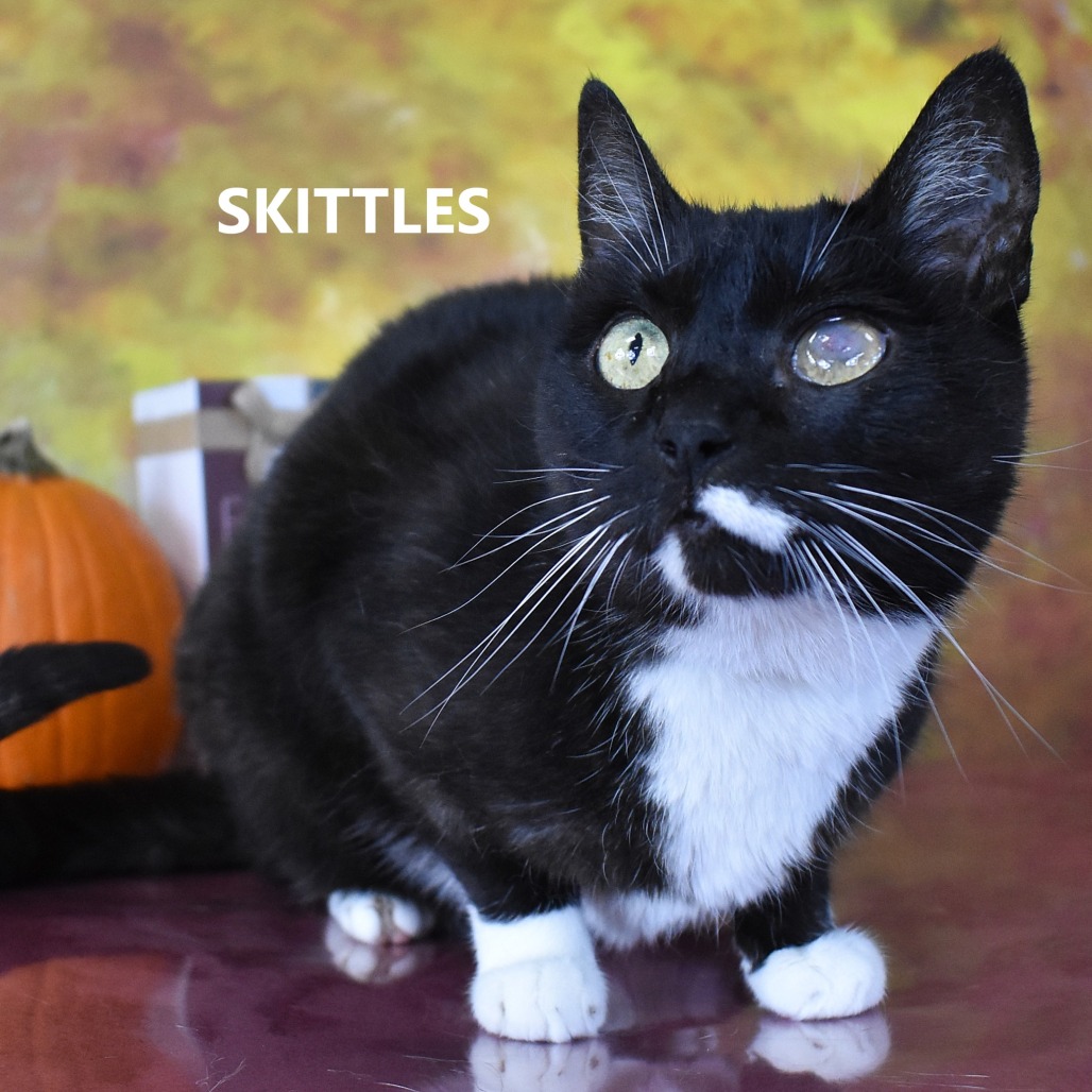 Skittles