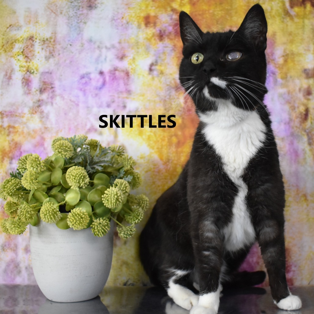 Skittles