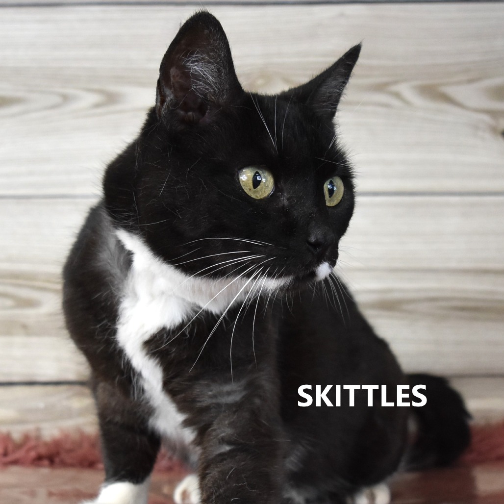 Skittles
