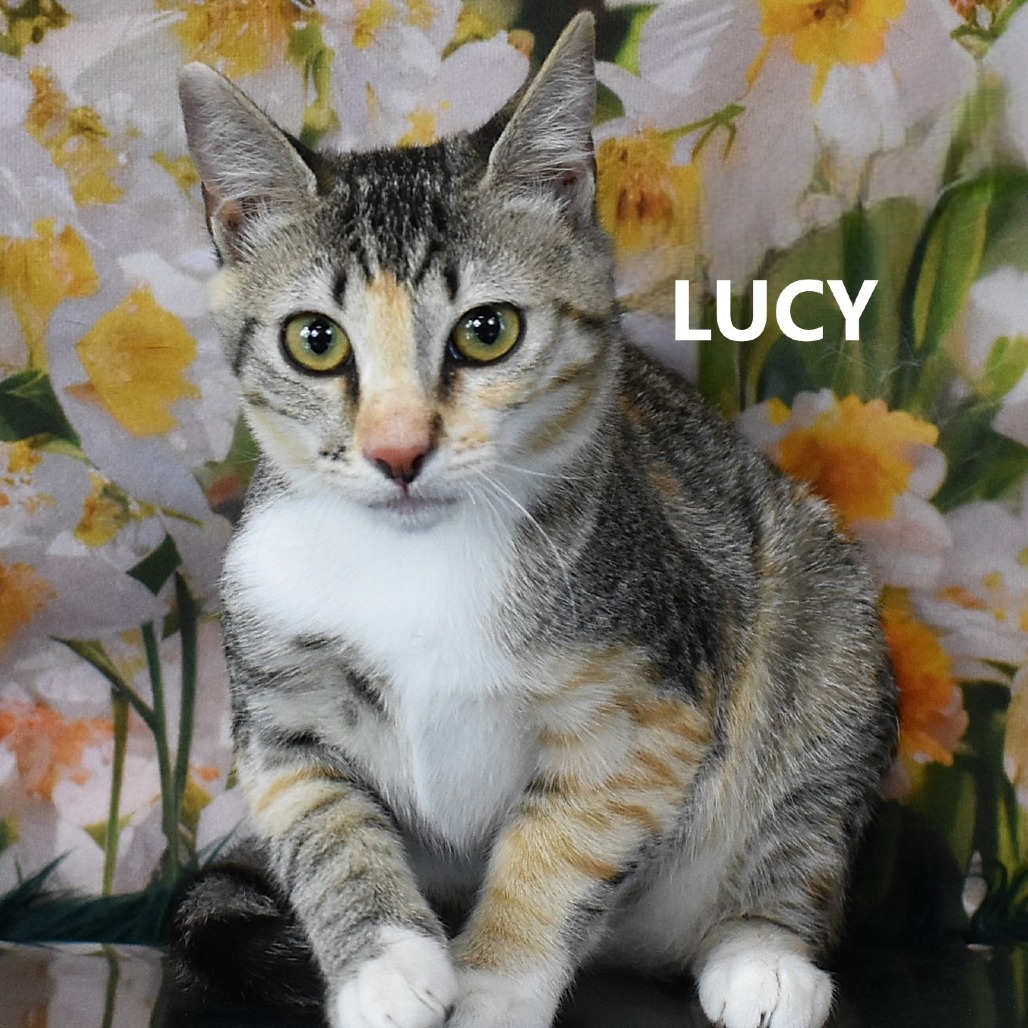 Lucy