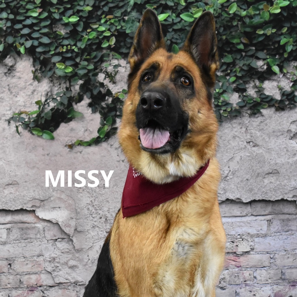 Missy