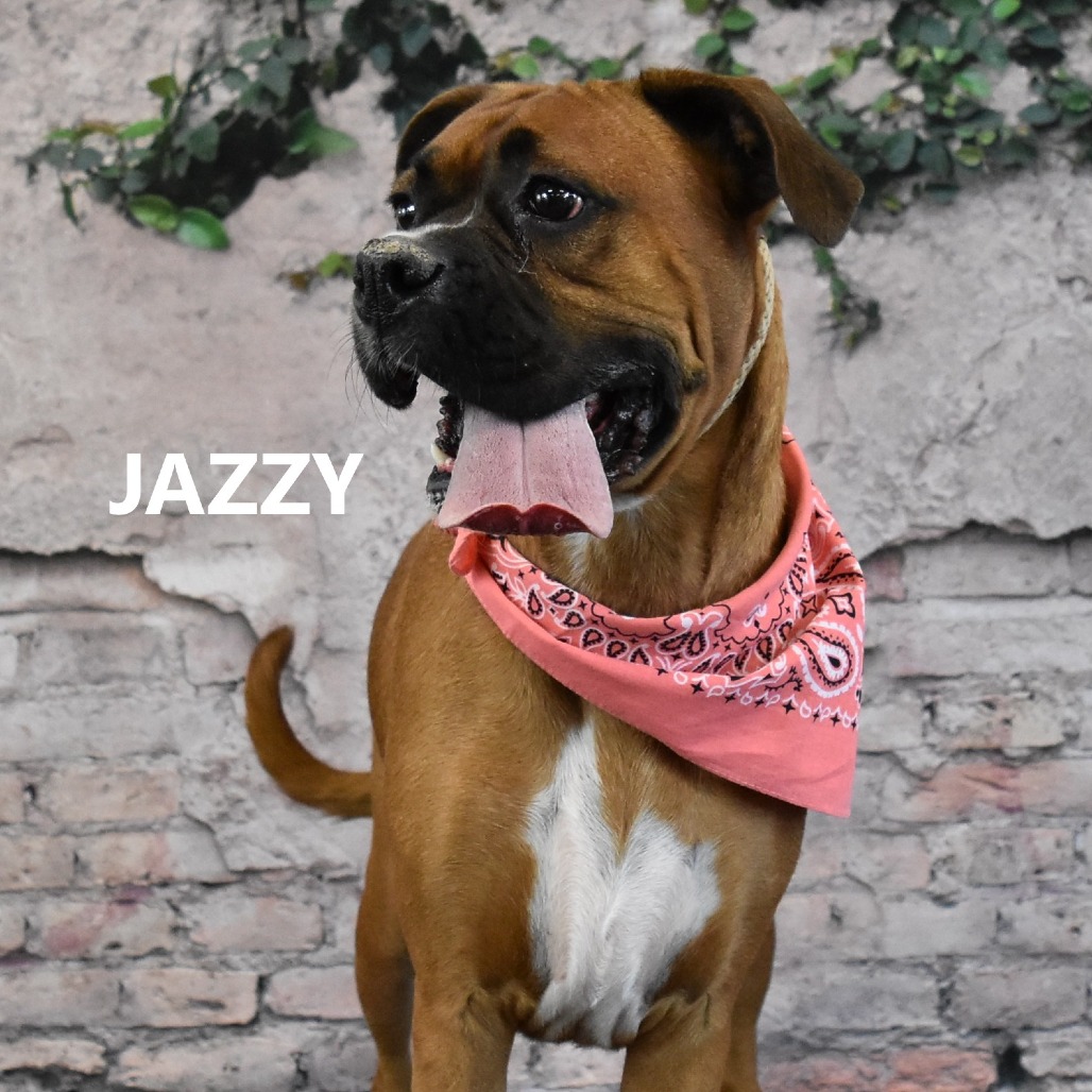 Jazzy 