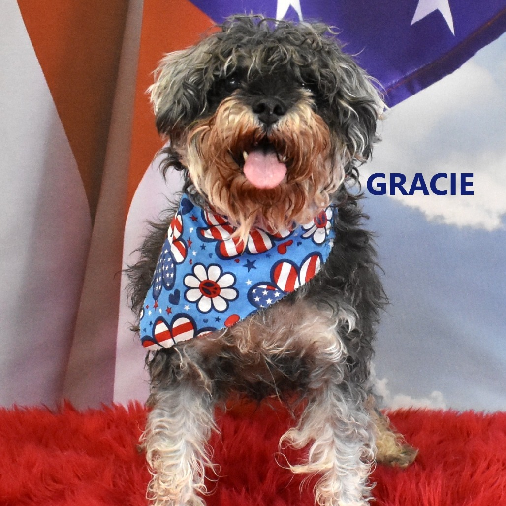 Gracie