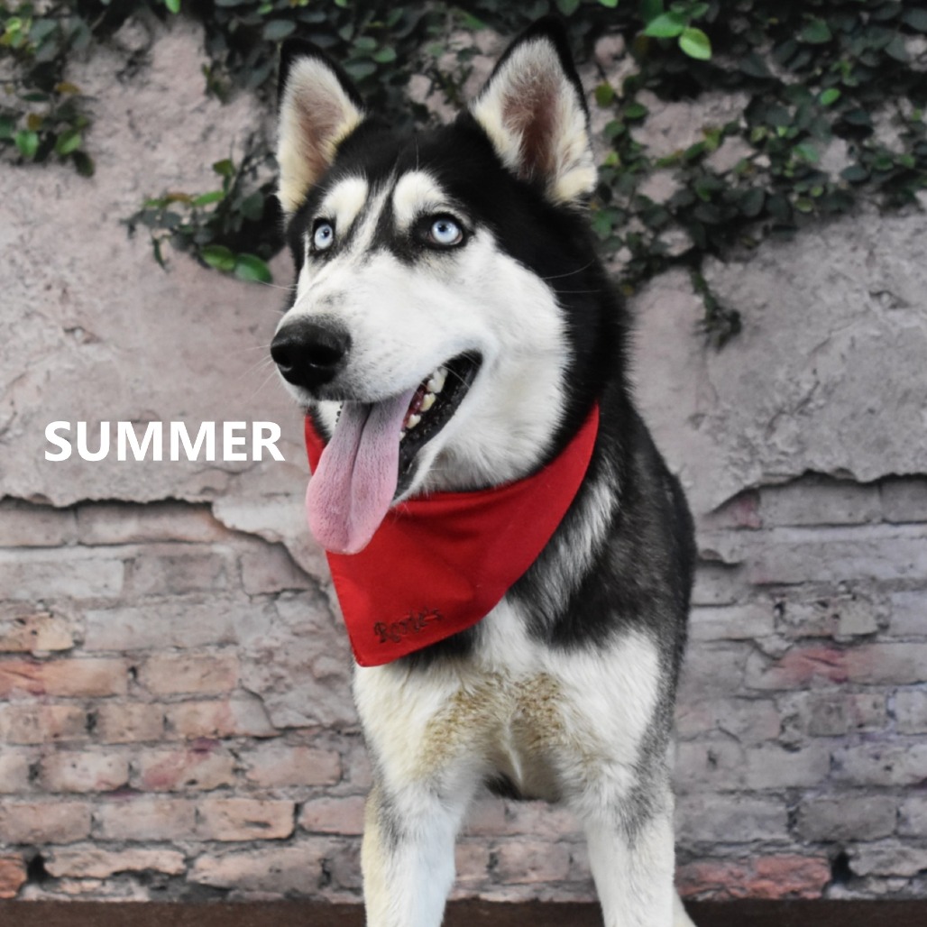 Summer