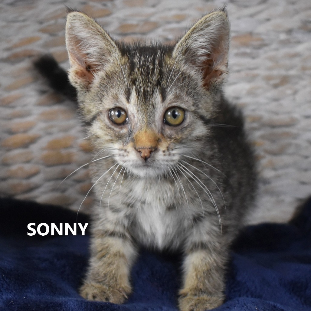 Sonny