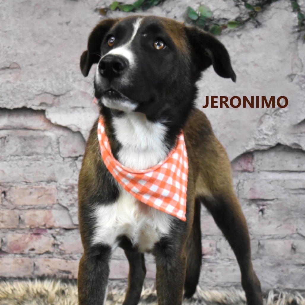 Jeronimo