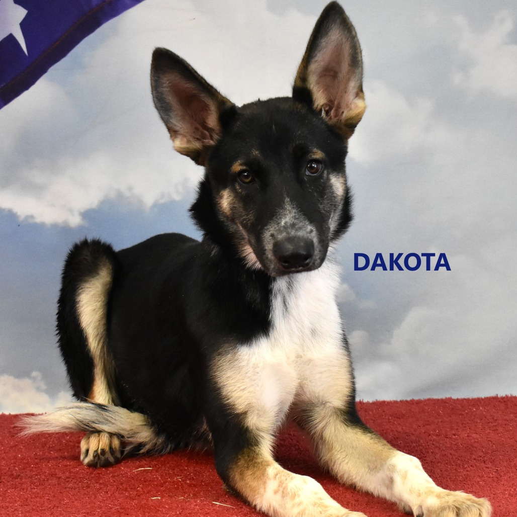 Dakota