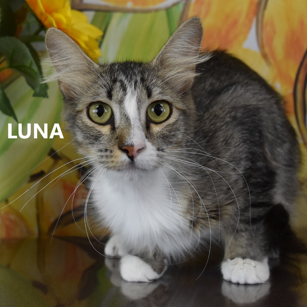 Luna