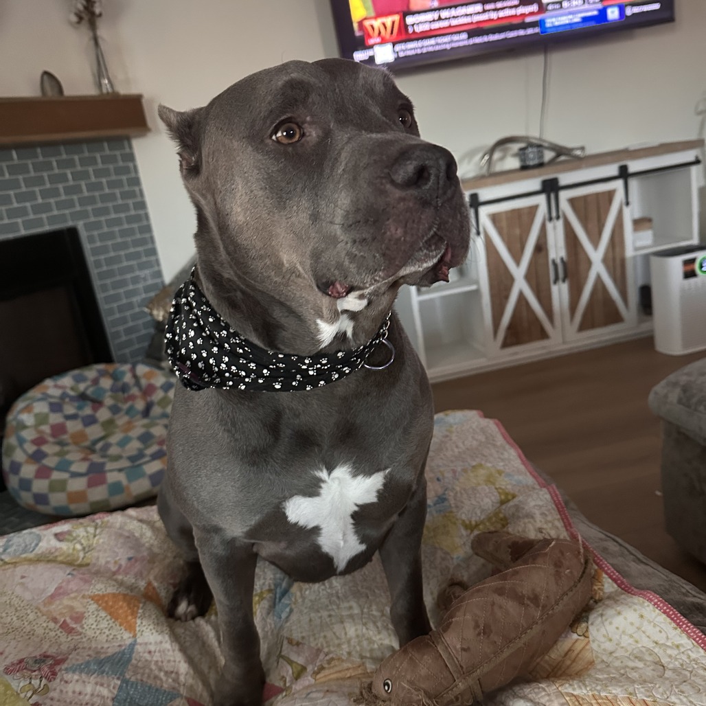 Ellie 