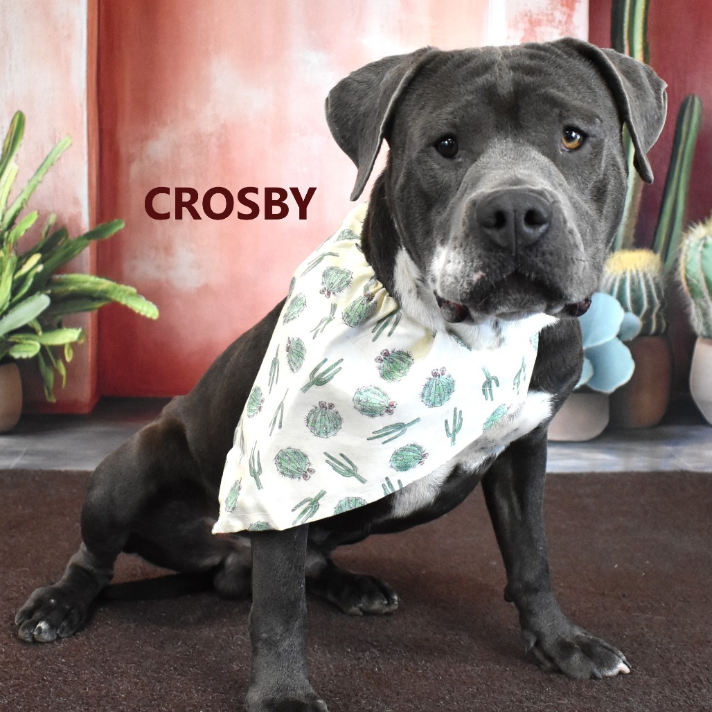 Crosby