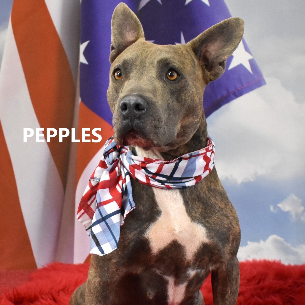 Pebbles