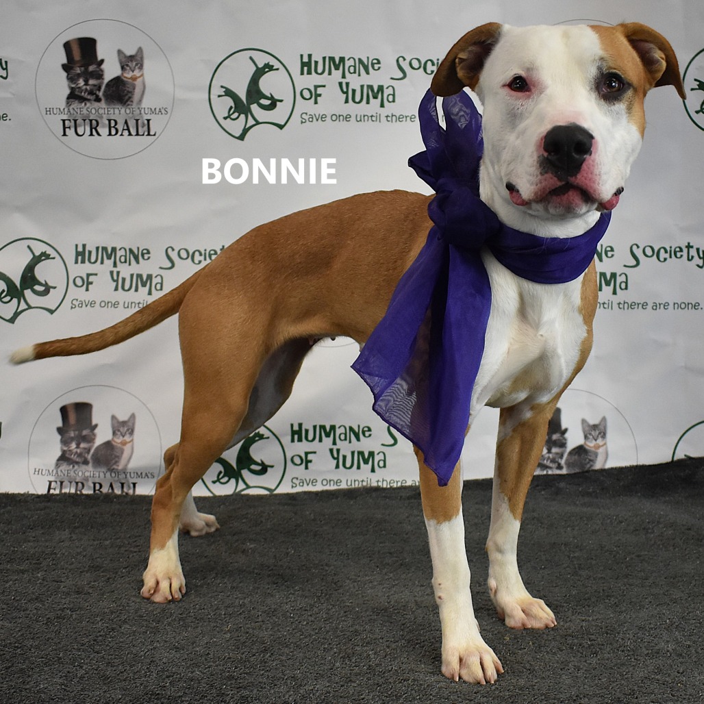 Bonnie