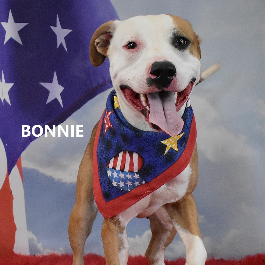 Bonnie
