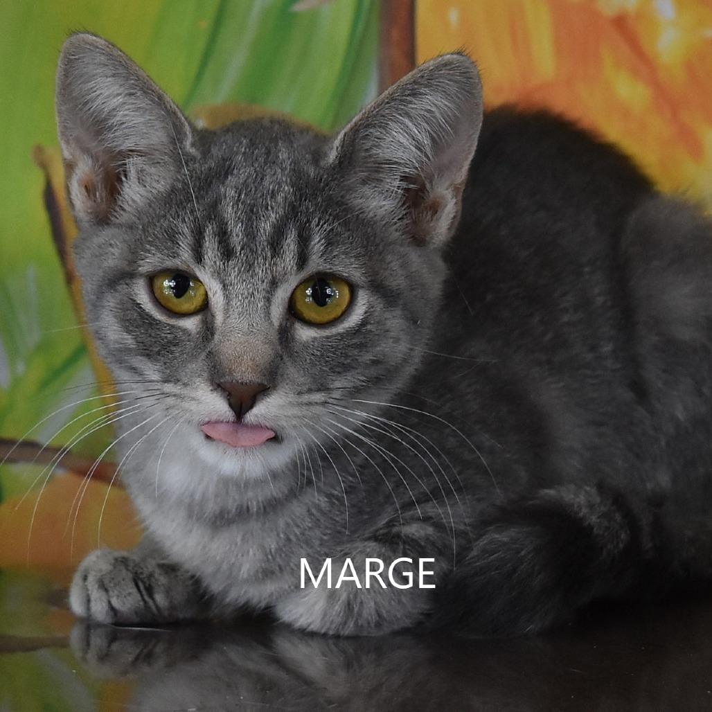 Marge