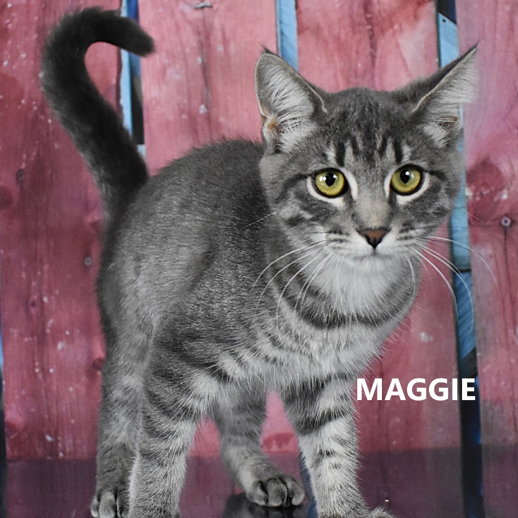 Maggie