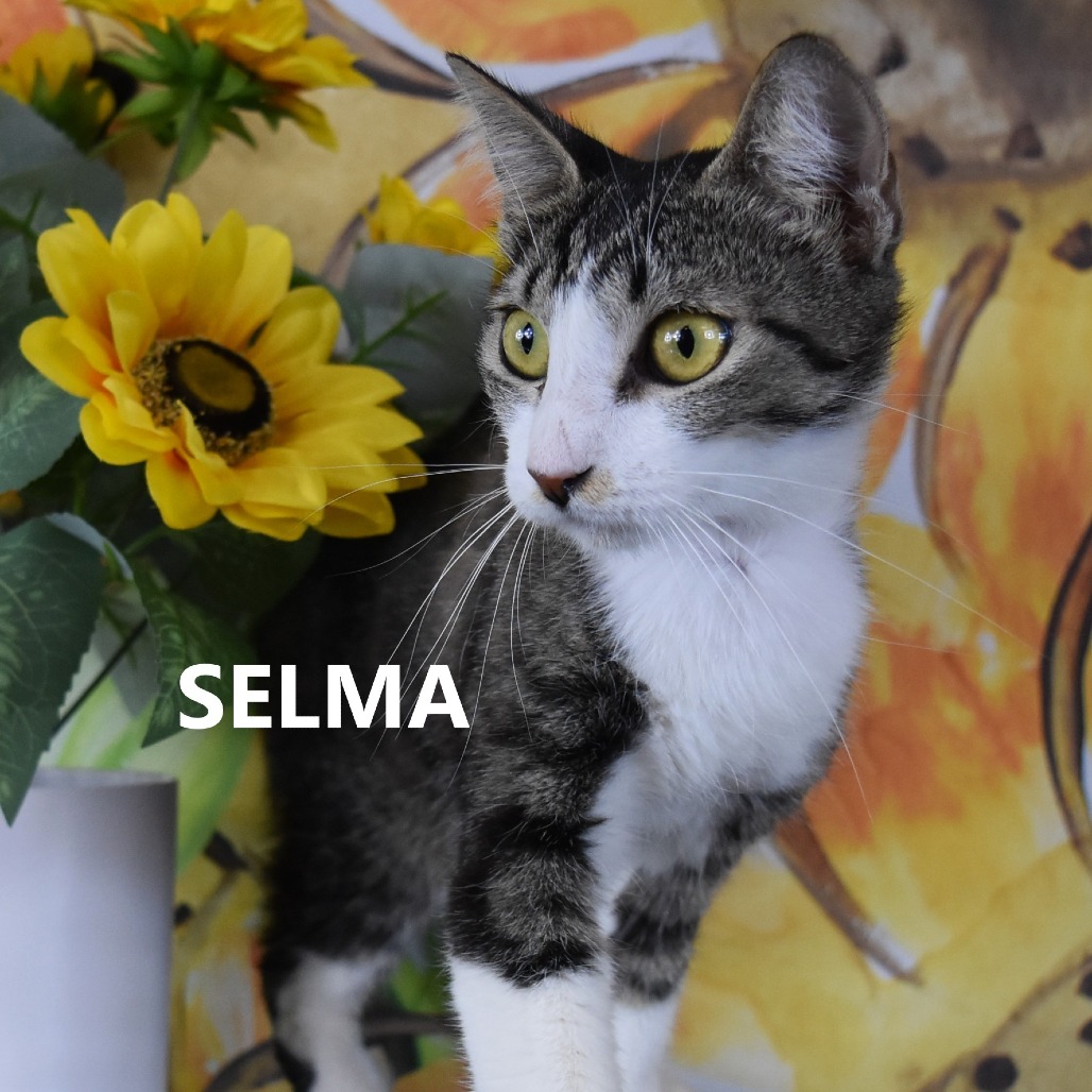Selma