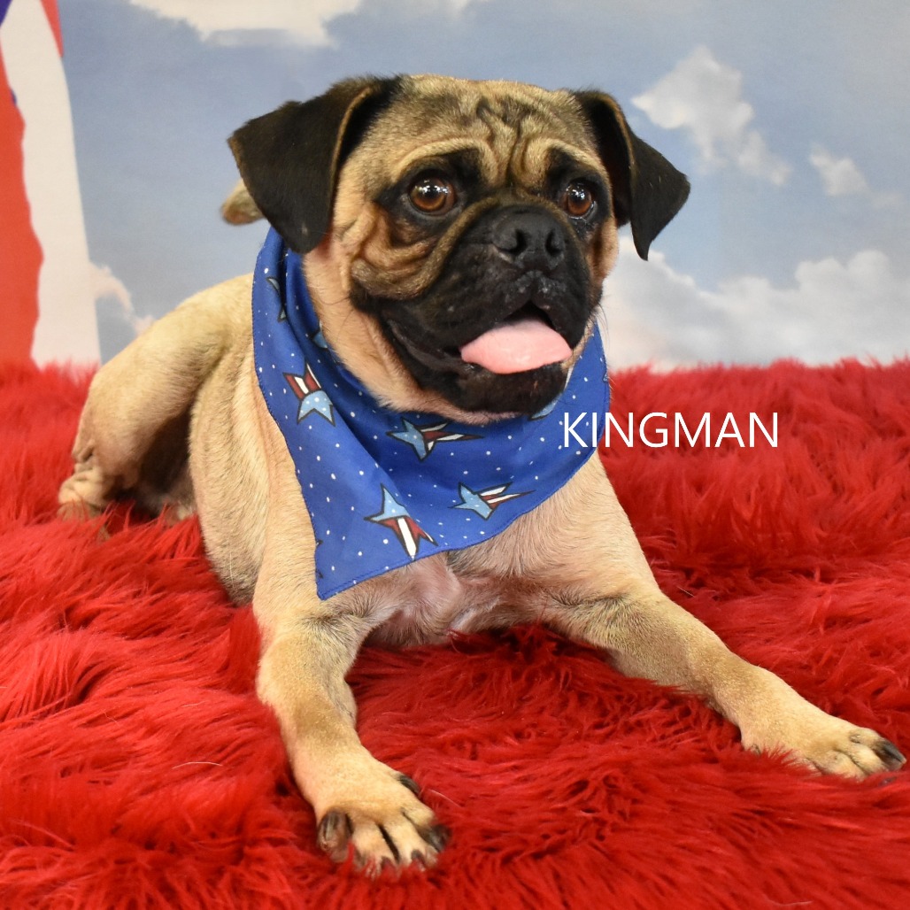 Kingman