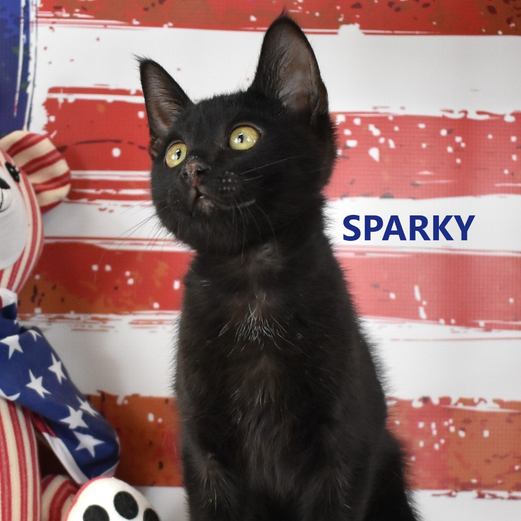 Sparky