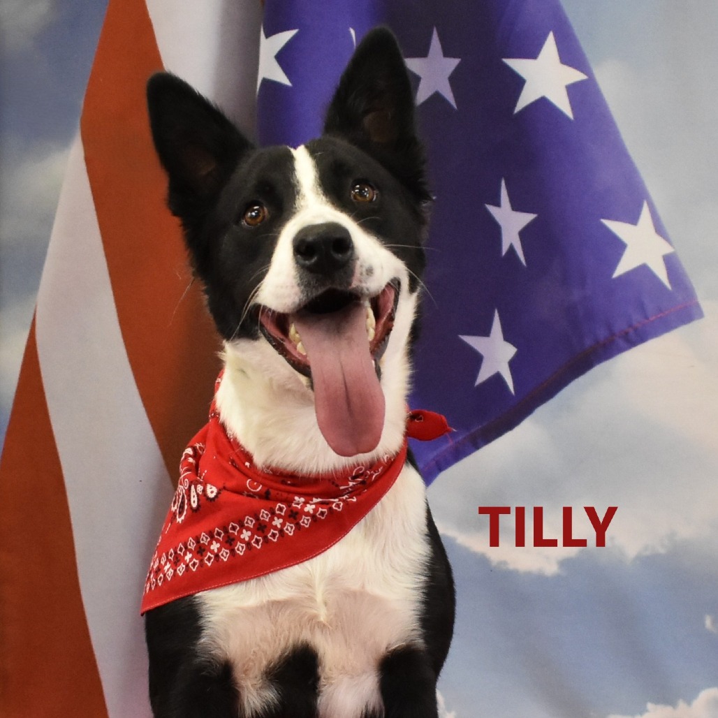 Tilly