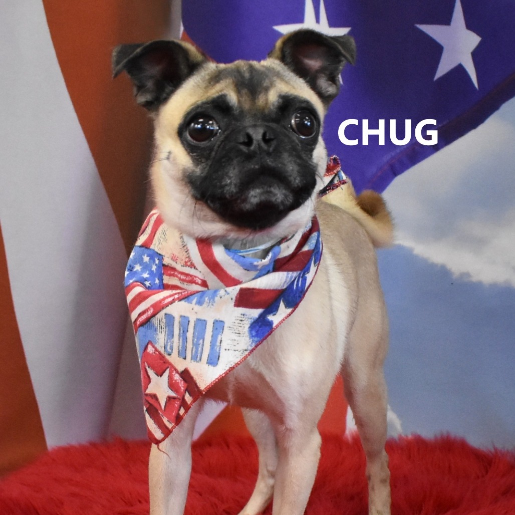 Chug