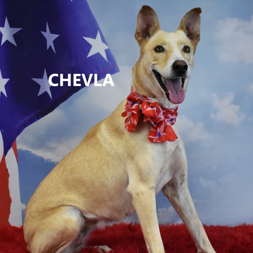 Chevla