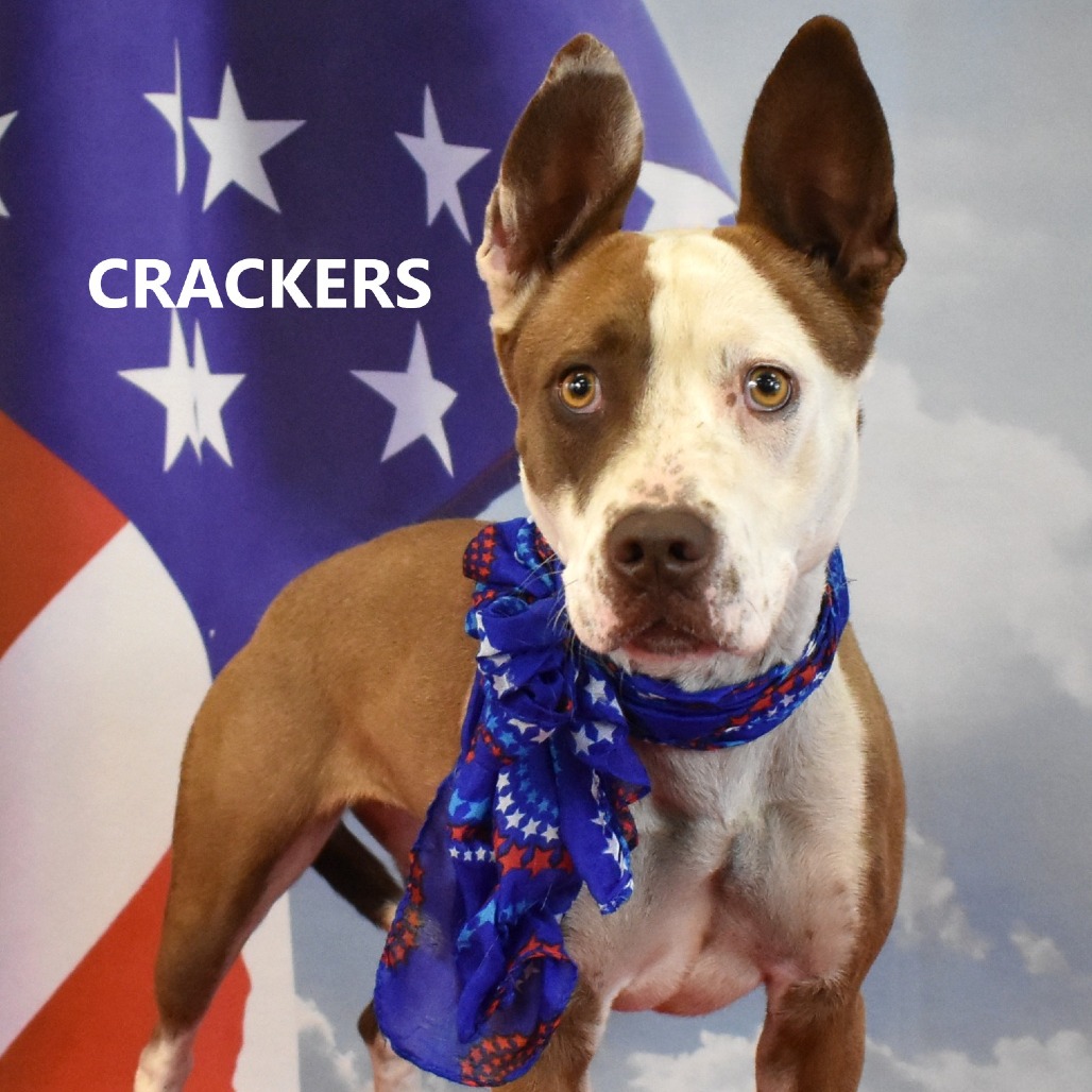 Crackers