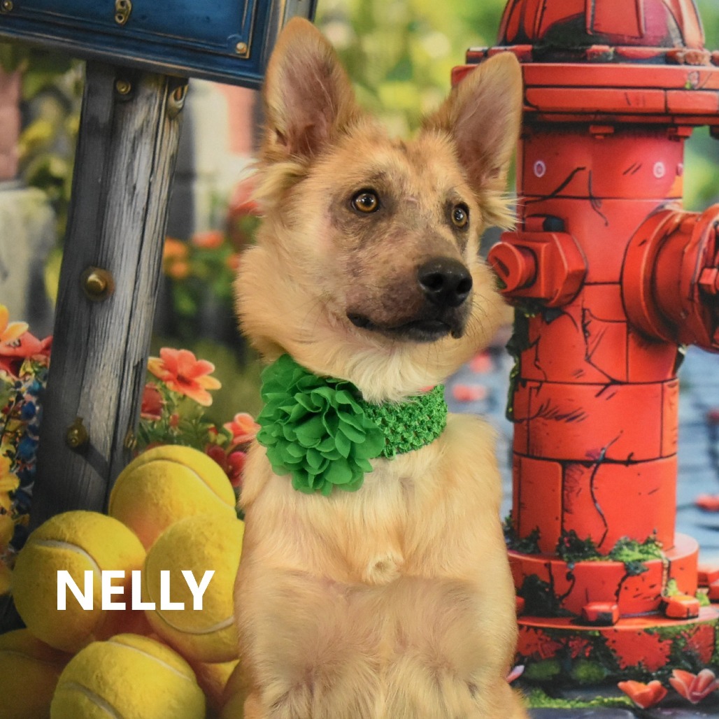 Nelly
