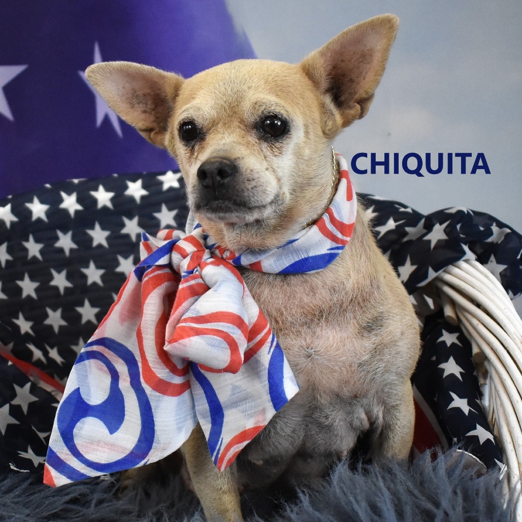 Chiquita