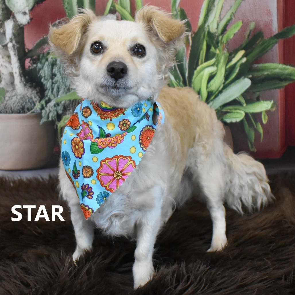 Star