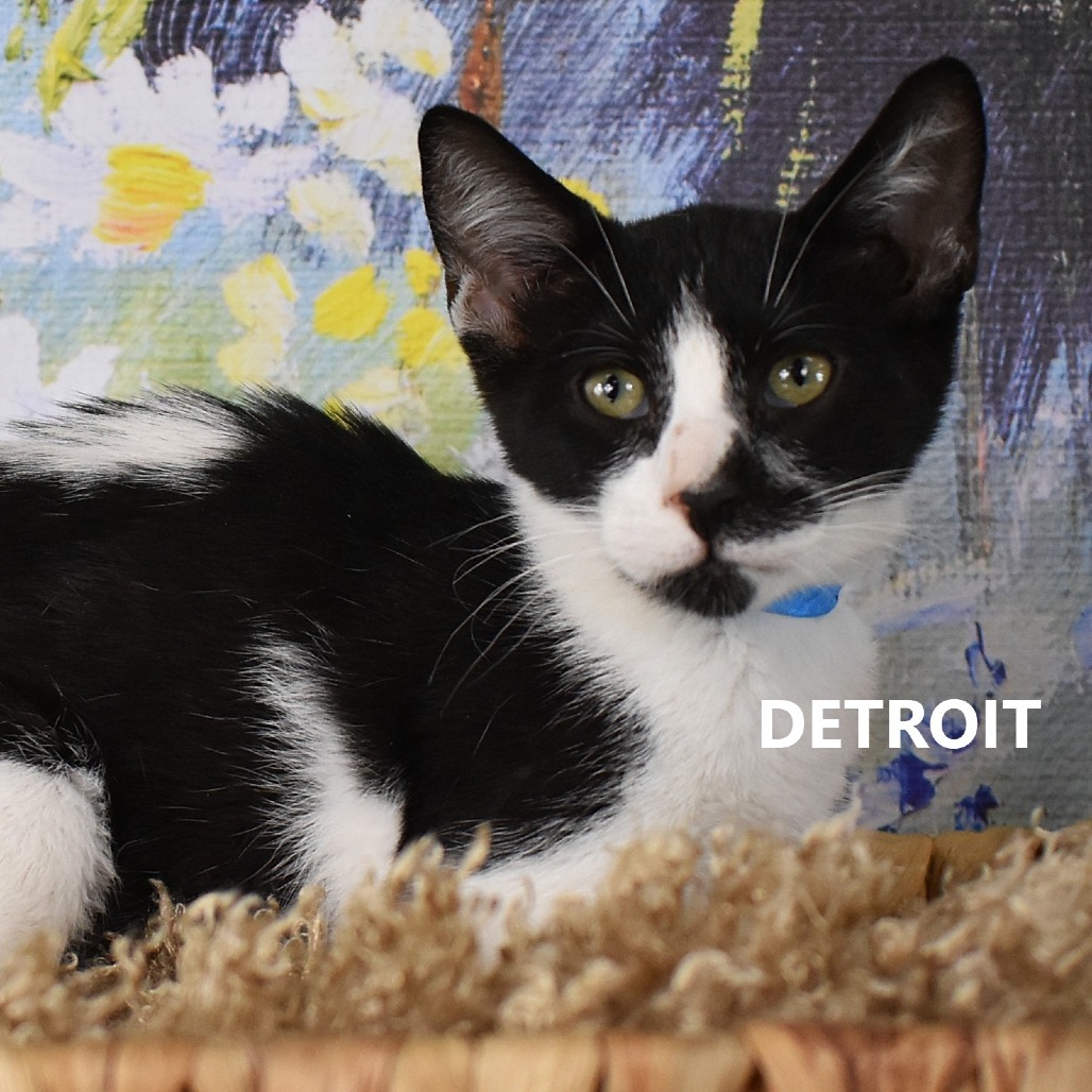 Detroit