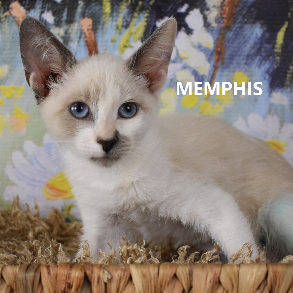 Memphis