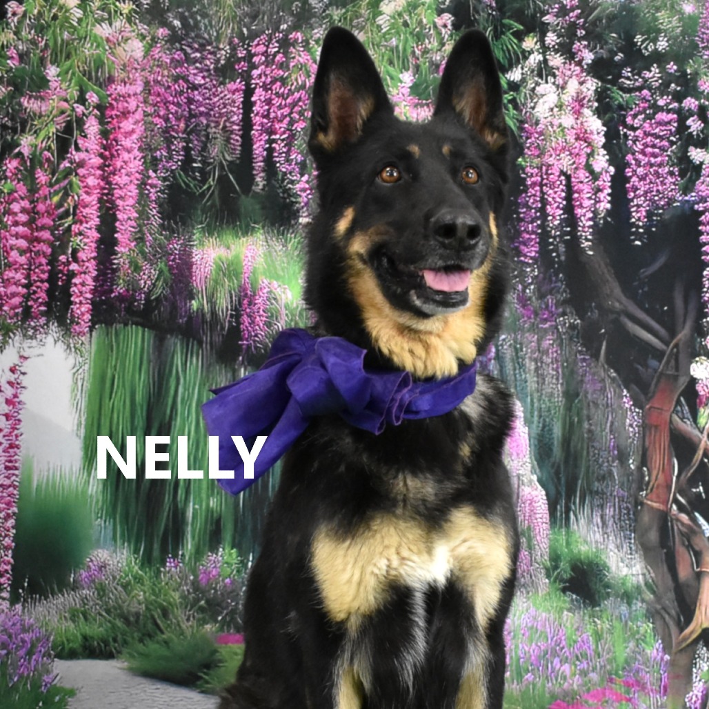 Nelly