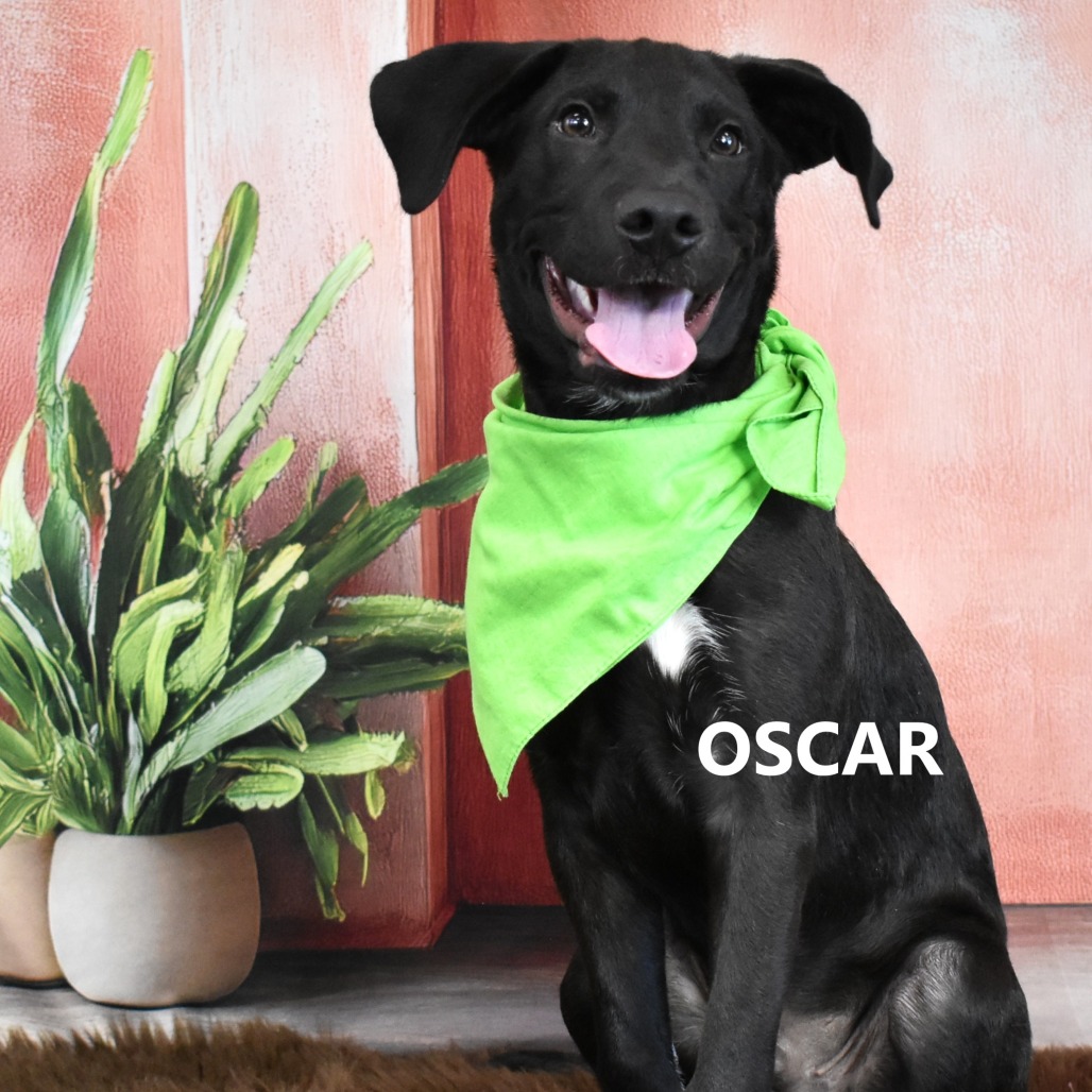 Oscar