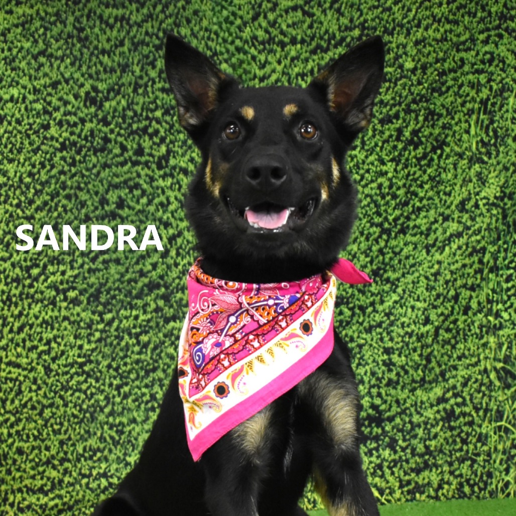 Sandra
