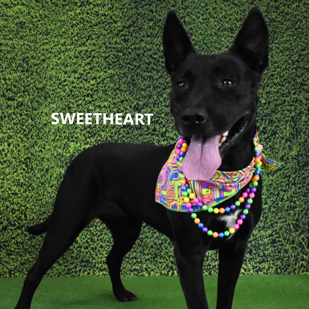 Sweetheart