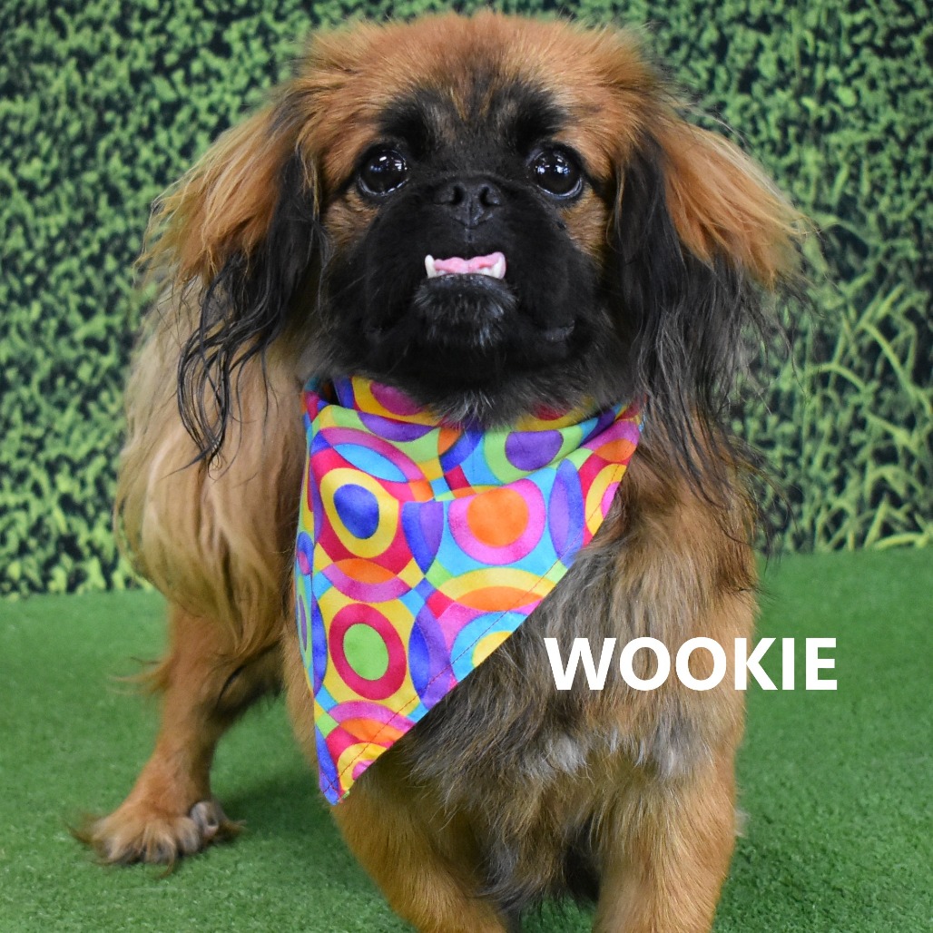 Wookie