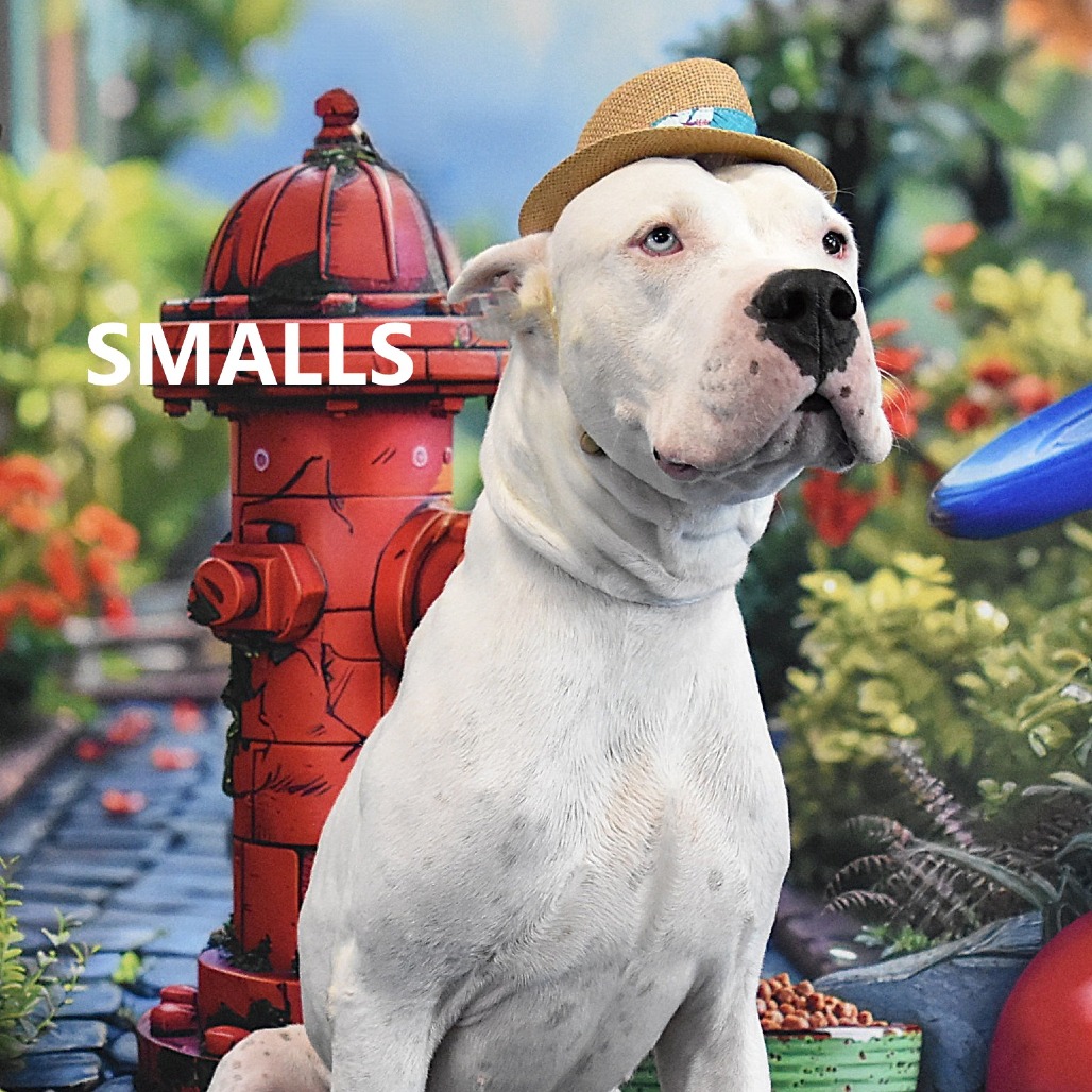 Smalls