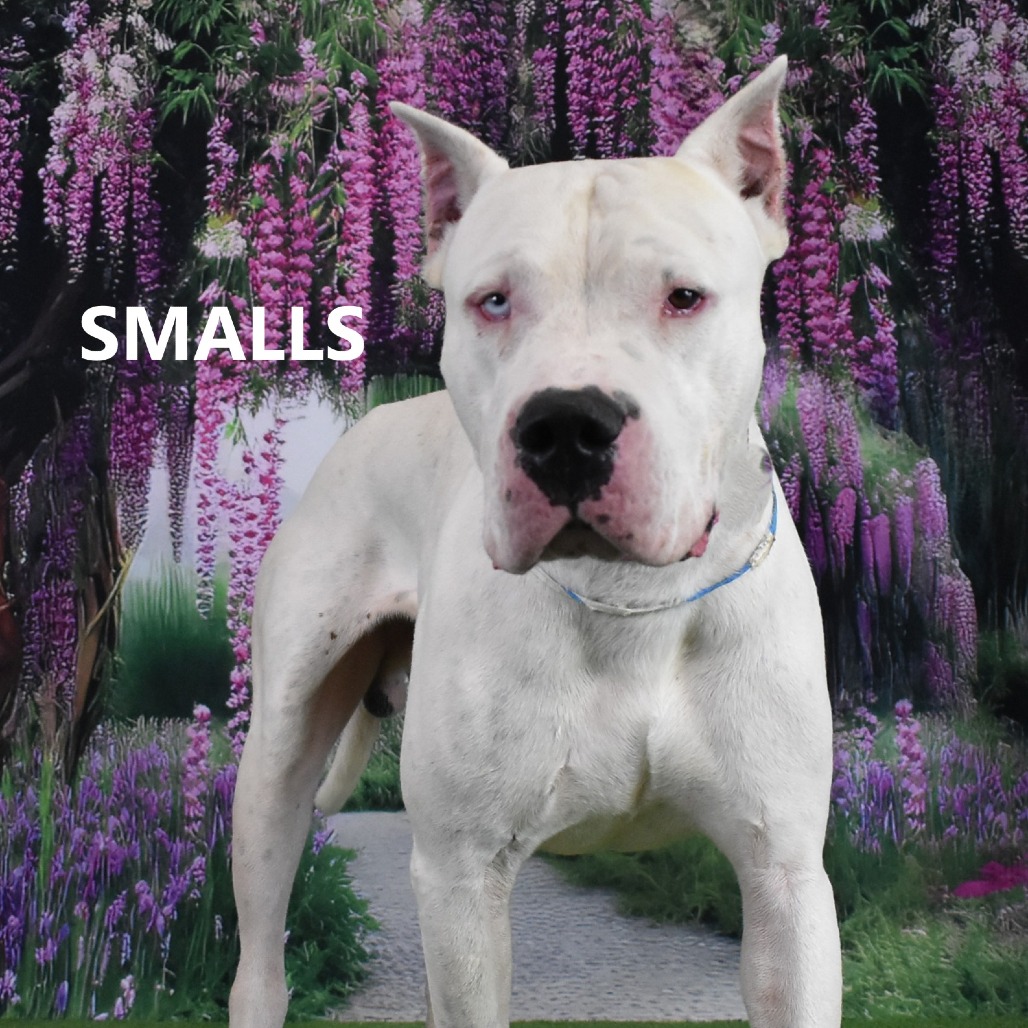 Smalls