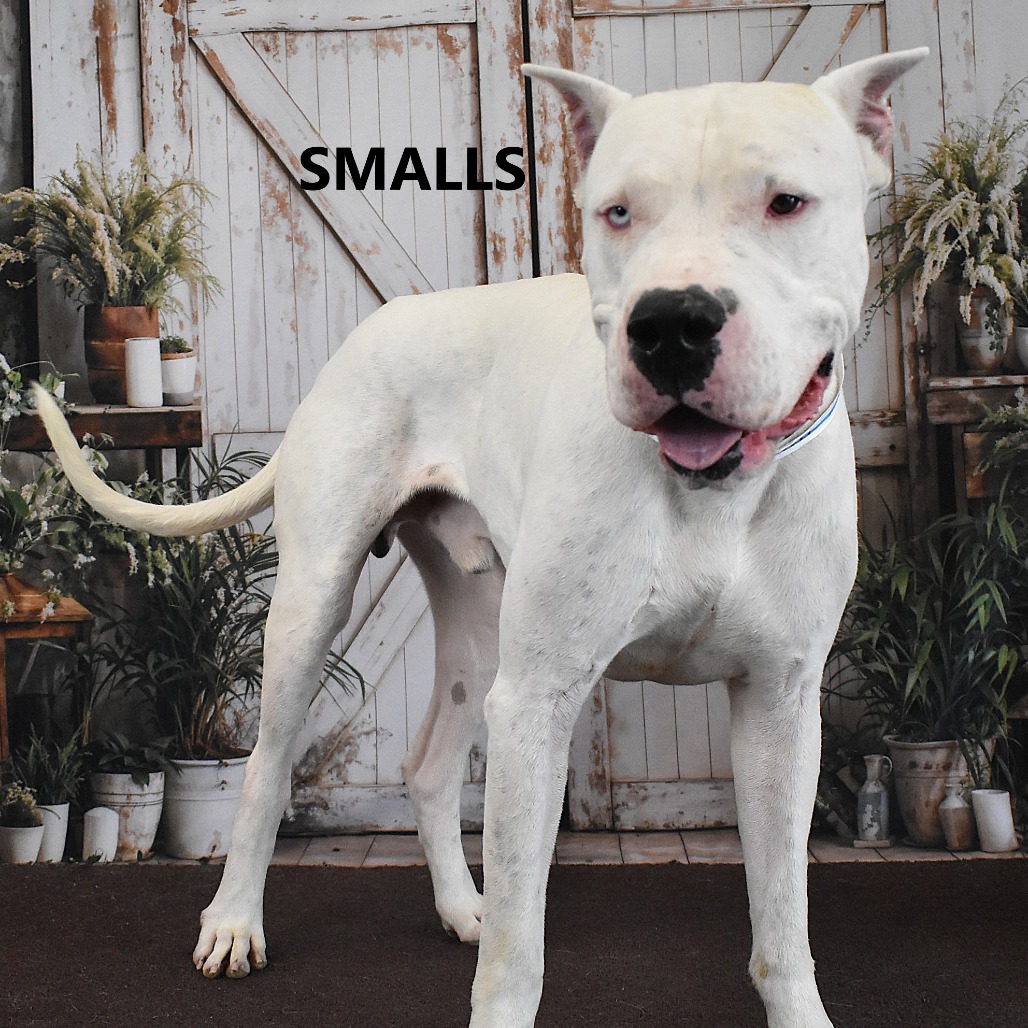 Smalls
