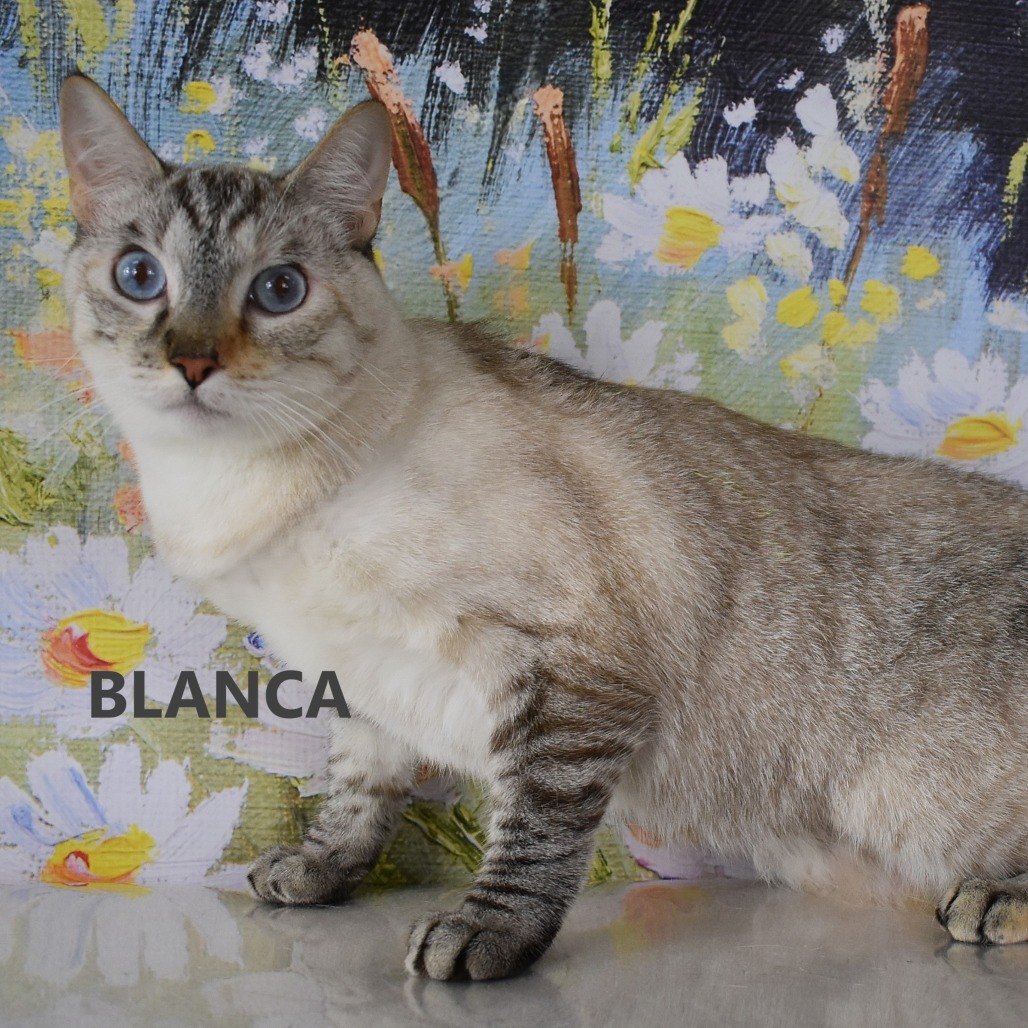 Blanca