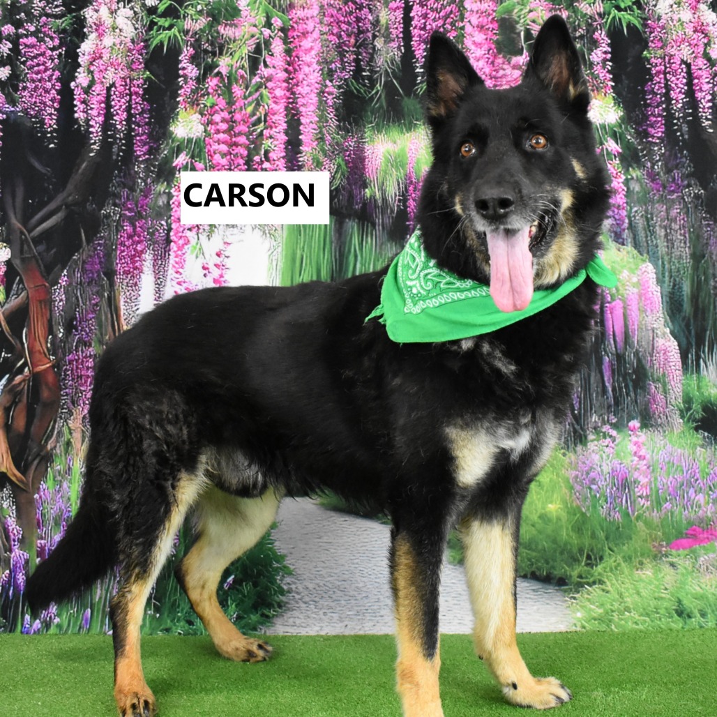 Carson