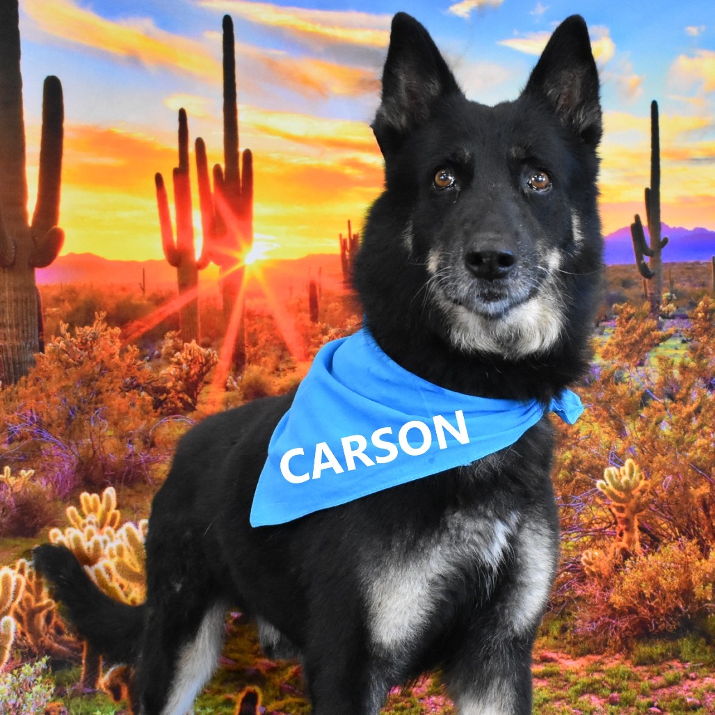 Carson