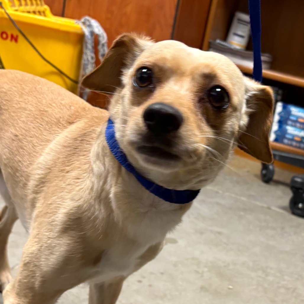 Spunky