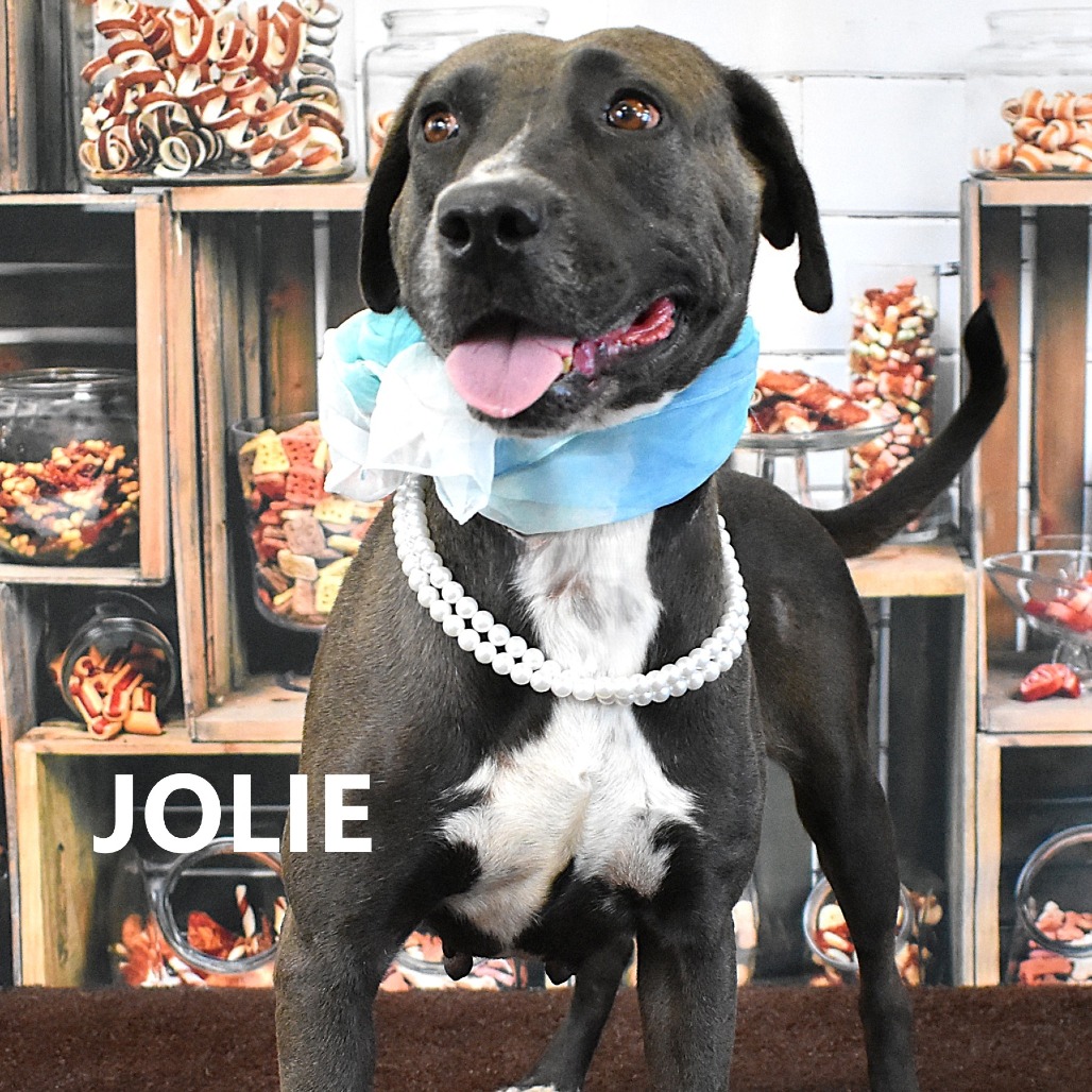 Jolie
