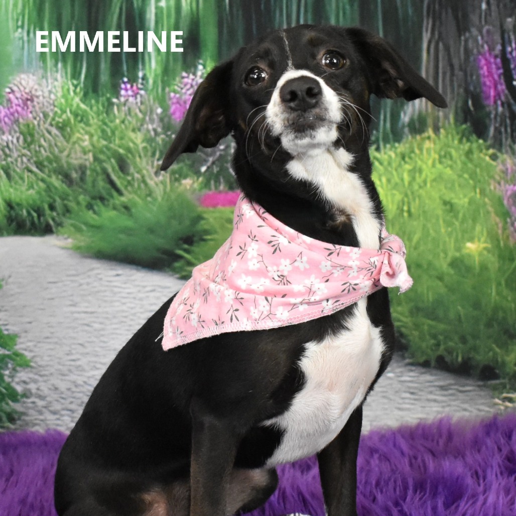 Emmeline