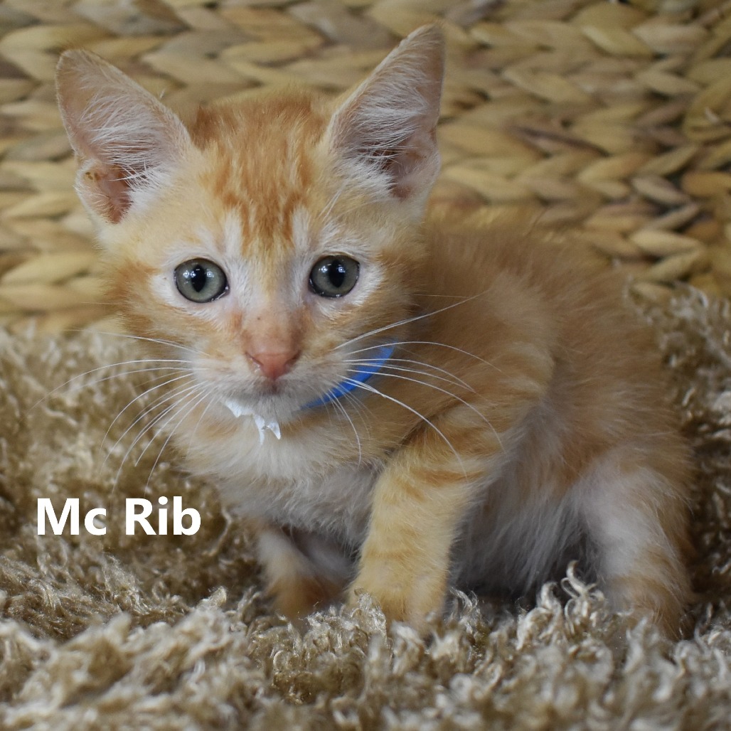 McRib