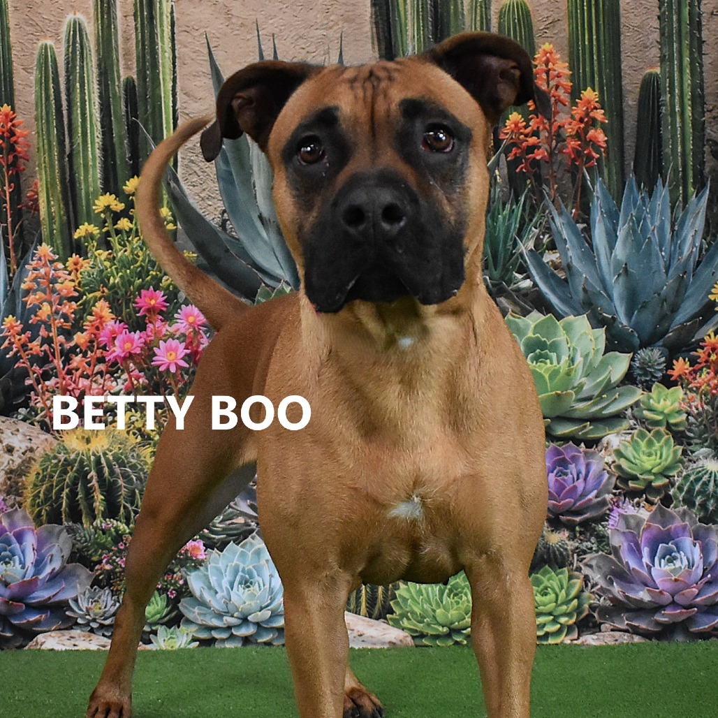 Betty Boo